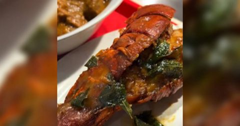 Craving lobster or lamb? This ‘cai fan’ stall in Toa Payoh is serving premium dishes, Lifestyle News