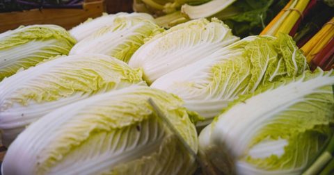 No evidence of formaldehyde contamination in cabbages imported from China: SFA, Lifestyle News