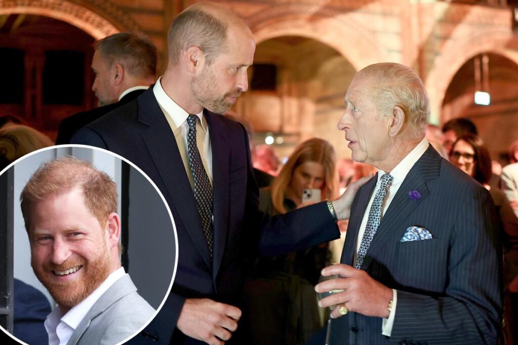 Prince Harry’s return could drive wedge between Prince William and King Charles