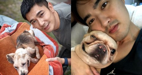 Goodbye furever: Elvin Ng ‘guilty’ having to euthanise pet dog, Lee Teng mourns his that died while he was overseas