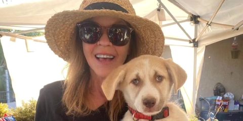 Linda Blair’s home raided by more than 70 officials in kennel probe, Entertainment News