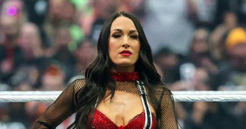Brie Bella Addresses Shoulder Injury at WWE SummerSlam: ‘Don’t Let Broken Bones Stop Us’