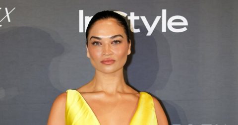 Supermodel Shanina Shaik Is Pregnant With Baby No. 2, Her 1st With Music Executive Ryan Press