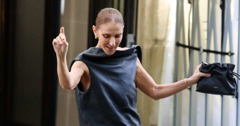 Celine Dion’s $2,600 ‘Little Black Bag’ Is a Fall Outfit Maker — We Found a Twin for $28