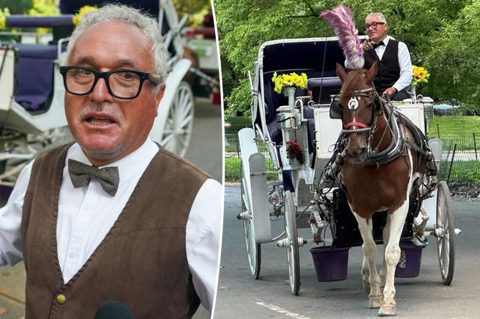 Carriage horse’s owners ready to sue Central Park over deadly yew poisoning