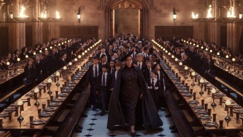 HBO’s ‘Harry Potter’ Casts Tom Riddle, Dobby and a New Ginny Weasley