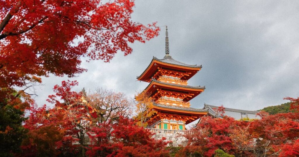Japan autumn 2026: Foliage peak dates & when to book your trip, Lifestyle News