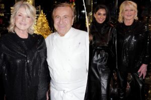 Martha Stewart and Daniel Boulud kicked off holiday season early parting with housewives