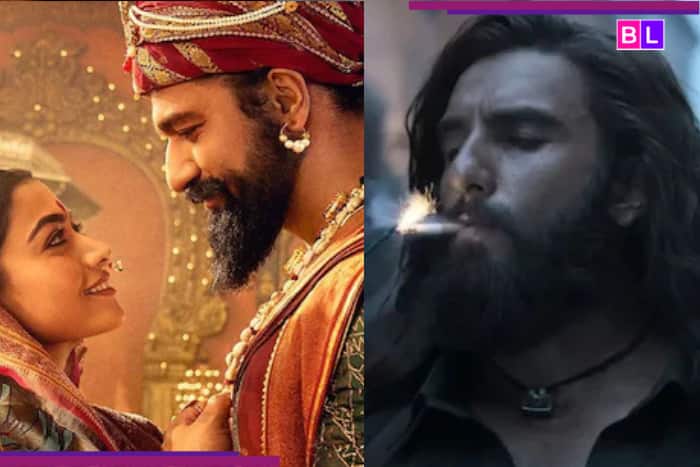 Ranveer Singh’s Dhurandhar, Vicky Kaushal-starrer Chhaava and other TOP 8 hit films which took over…