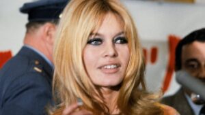 Sofia Vergara, Christie Brinkley and Lindsay Lohan lead emotional Hollywood tributes after Brigitte Bardot dies at 91