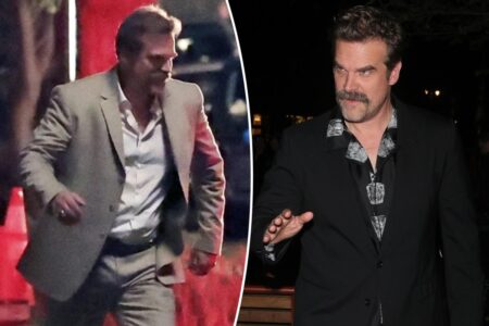 David Harbour accused of stealing fan’s hat in bizarre bar incident