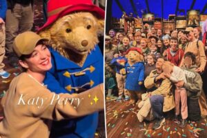 Exes Katy Perry and Orlando Bloom take daughter to ‘Paddington’ play in rare outing