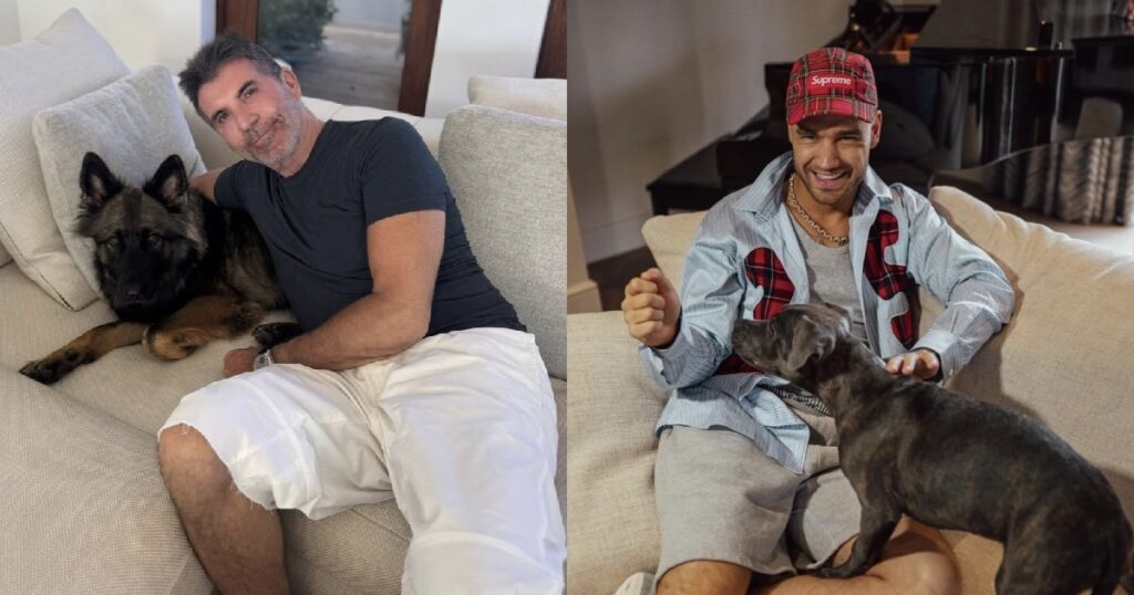 Simon Cowell feels no ‘guilt’ about Liam Payne’s death, Entertainment News