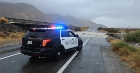 4 Dead Cats Found in Freezer, 17 Animals Recovered From ‘Uninhabitable’ Home