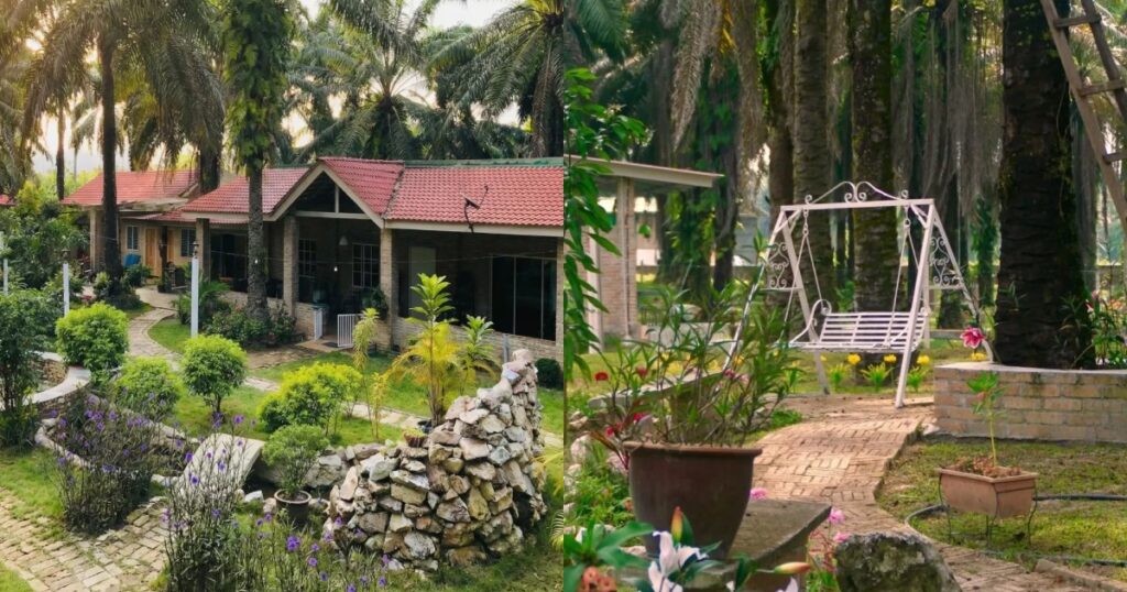 No KPI or 8-to-5: Youths are recharging at this Perak ‘retirement home’, Lifestyle News