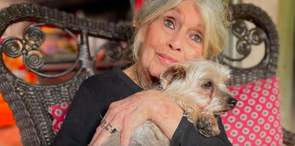 Son takes on Animal Foundation over €65 Million fortune