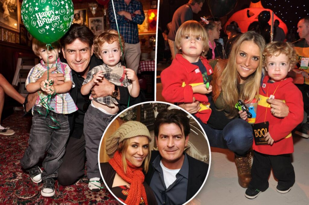 Charlie Sheen’s ex Brooke Mueller claims actor owes her $15M in child support