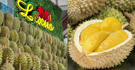 Love durians? There’s a $38.80 Musang King buffet this festive season, Lifestyle News