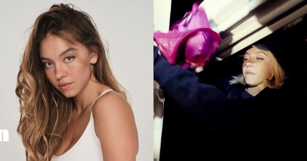 Sydney Sweeney may face criminal charges after hanging bras on Hollywood sign, Entertainment News