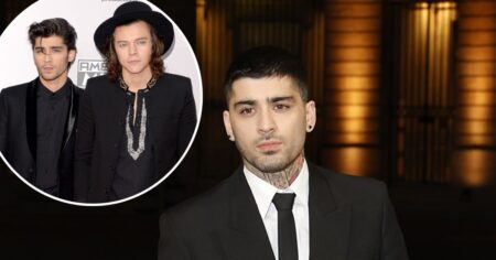 Zayn Malik Jokes About Expensive Concert Ticket Prices Amid Harry Styles Tour Backlash