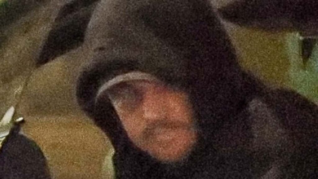 Leonardo DiCaprio, 51, embraces his romantic side with supermodel girlfriend Vittoria Ceretti, 27, on Valentine’s Day date night