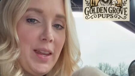 Anna Duggar returns to social media for first time in FIVE YEARS… as husband Josh sits in prison