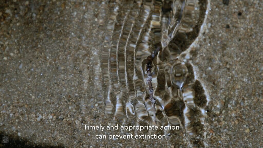 Sci-Fi Doc ‘Hungry’ Promises an “Immersive” Exploration of How to Avoid “Extinction Events” (Exclusive Rotterdam Clip)