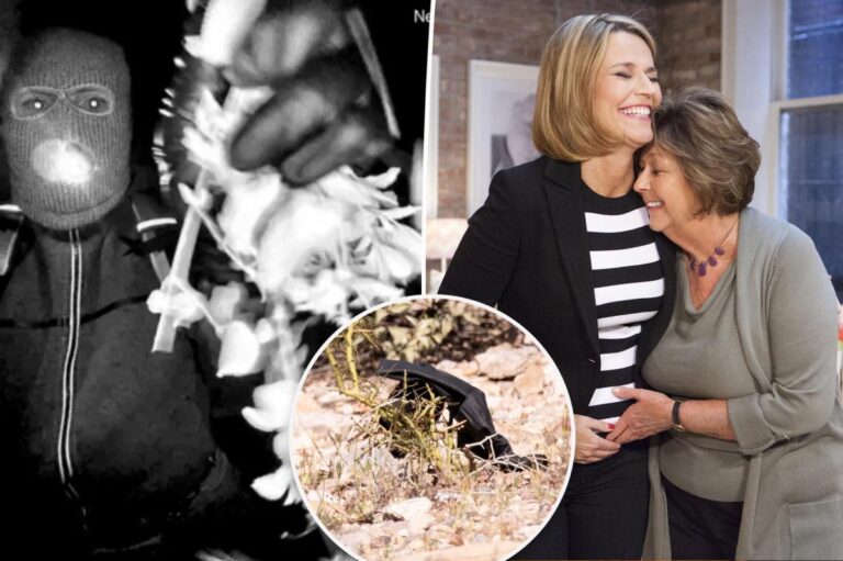 DNA recovered from glove linked to Nancy Guthrie suspect in bombshell discovery