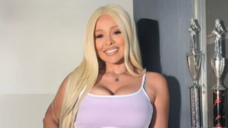 Rihanna shooting suspect pleads not guilty to firing 20 rounds at singer’s home as terrifying details of the attack emerge