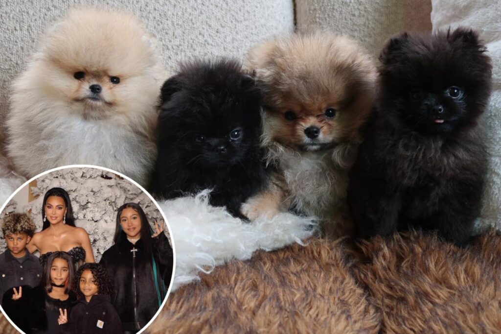 Kim Kardashian ignores PETA backlash by sharing photos of her kids’ 4 new puppies