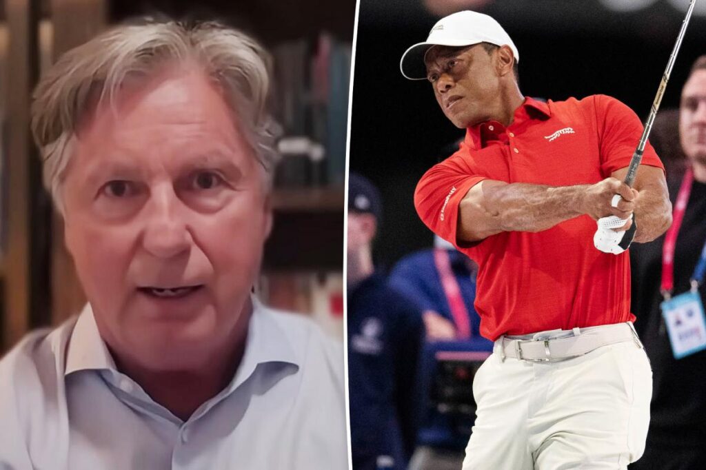 Ex-golf pro Brandel Chamblee urges Tiger Woods to quit sport after DUI arrest