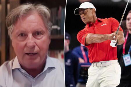Ex-golf pro Brandel Chamblee urges Tiger Woods to quit sport after DUI arrest