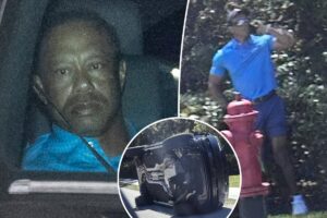 Tiger Woods caught with pills in his pocket, showed ‘signs of impairment,’ reveals shocking new police report