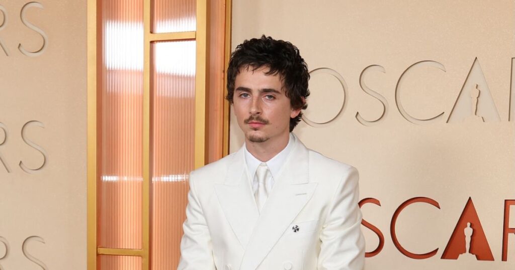 Timothee Chalamet Walks 2026 Oscars Red Carpet in All-White Outfit Without Girlfriend Kylie Jenner
