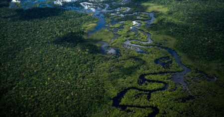 Scientists Discovered a New Prehistoric Species With One of the Strangest Jaws Ever