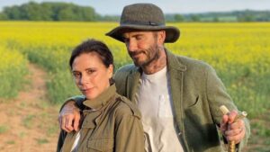 David and Victoria Beckham win planning row to plant forest at their luxury £6.15million Cotswolds home after being targeted by burglary gangs