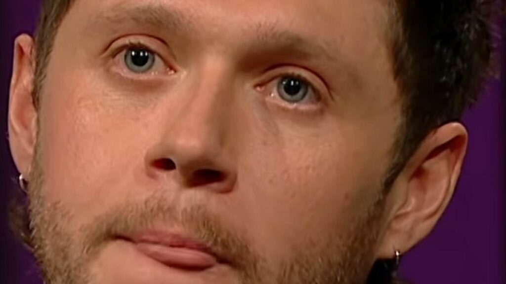 Niall Horan questions if he ‘could have done more’ for Liam Payne before his heartbreaking death at 31 – and says he was ‘shocked but not surprised’ by his troubled bandmate’s passing