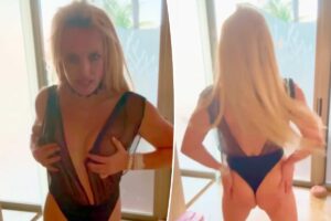 Britney Spears posts bizarre butt-slapping dance video hours before entering rehab