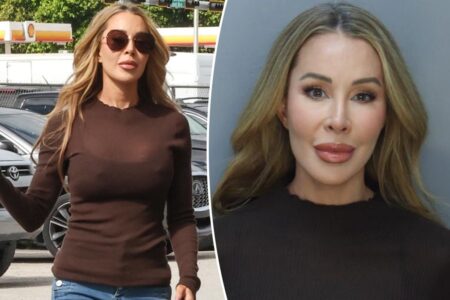 ‘RHOM’ star Lisa Hochstein appears in mugshot for criminal charges