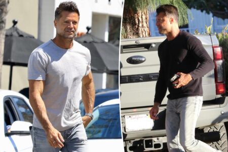 ‘Baywatch’ star David Charvet accused of killing dog in early morning hit-and-run