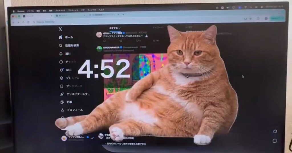 Stop right meow! This cat forces you to take a break from your screen, Lifestyle News
