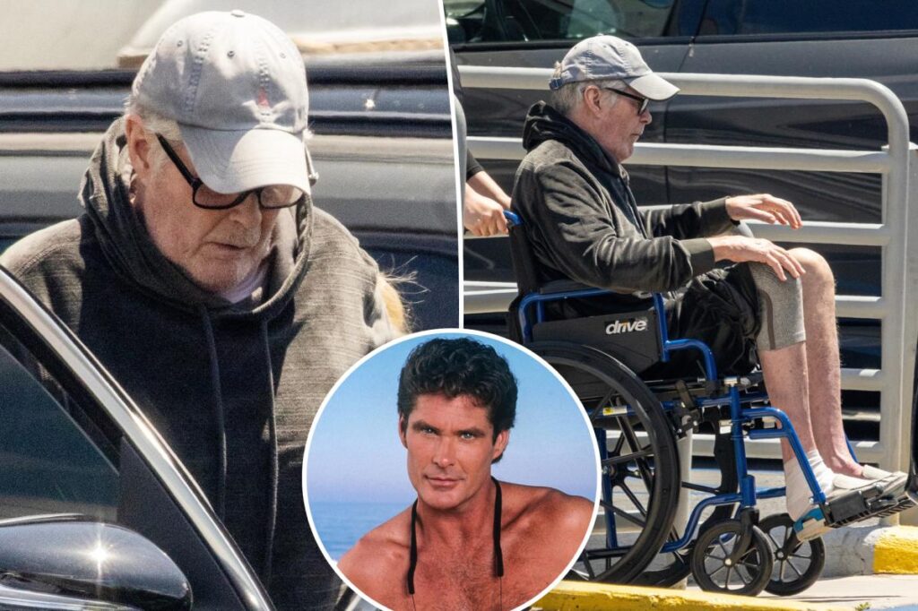 David Hasselhoff sparks concern as he’s seen in wheelchair