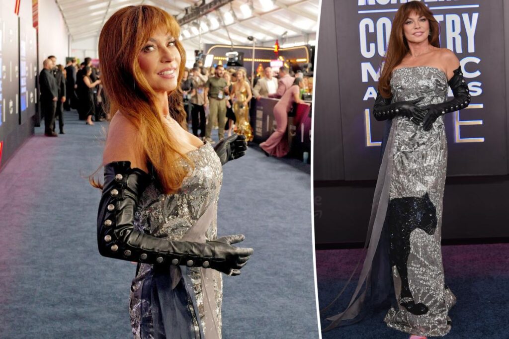 Shania Twain wears strapless panther dress at ACM Awards
