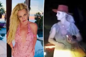 Britney Spears admits to ’emotional issues’ after DUI