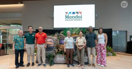 Decade in the making: Mandai Wildlife Reserve celebrates grand opening