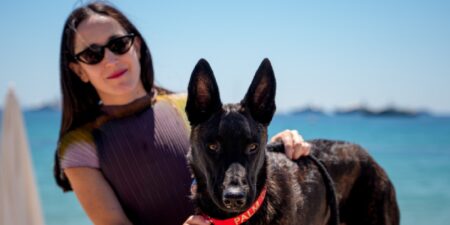A round of a-paws for La Perra, winner of the Palm Dog award at Cannes, Entertainment News