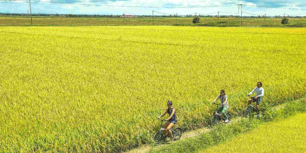 Exploring Malaysia: Hidden gems for school holiday road trips, Lifestyle News