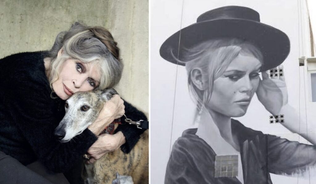 Brigitte Bardot – actress, singer & fervent animal rights activist, dies at 91