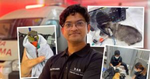He’s only 25, and a pioneer of Singapore’s only uniformed 24-hour private pet rescue service, Lifestyle News