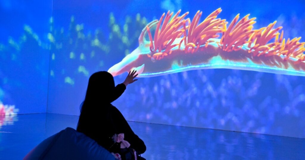 At this immersive ocean experience, I learn why it’s important to conserve marine life, Lifestyle News